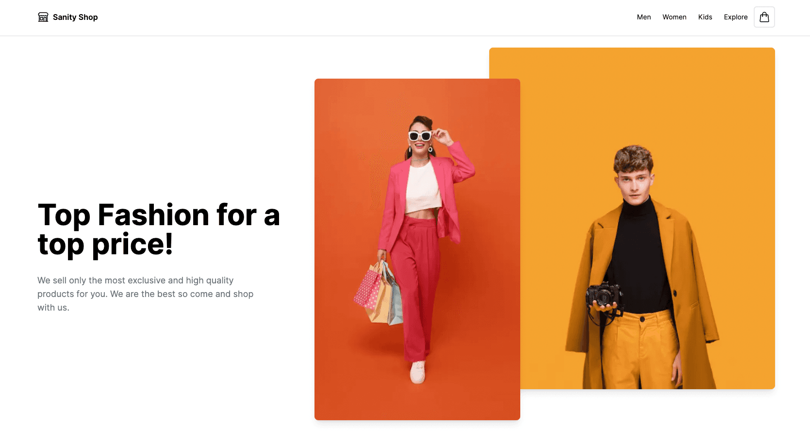 Sanity Shop - Image 1